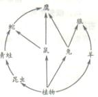 对图的解释说明正确的是A.图中最少包含8条食物链B.该食物网中最长的一条食物链包含4个营养级C.蛇和鹰既存在捕食关系,又存在竞争关系D.蛇的多少只受鼠、 魔方格
