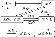 农作物秸秆在生产实践中具有多种用途.在特定微生物作用下,秸秆中的糖类可被分解为葡萄糖,经发酵后形成酒精,再加工即可制成燃料酒精,减少了人类生活对石油资源的依赖; 魔方格