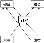 材料:我县湖塘密布,水域面积235平方公里,约占县域总面积的三分之一,其中西部为水网圩区,水源丰富,有固城湖、石臼湖两大天然淡水湖和长江支流水阳江,水质优良,十 魔方格