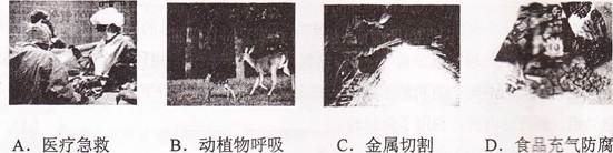 气与我们的生活息息相关,以下图片不能体现氧气性质的是 气与我们的生活息息相关,以下图片不能体现氧气性质的是