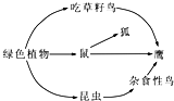如图是某生态系统的食物网简图,关于该食物网的叙述正确的是A.该食物网中,初级消费者有鼠、吃草籽鸟和杂食性鸟B.若该生态系统受到农药污染,则生物体内有毒物 魔方格