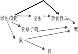 如图是某生态系统的食物网,请据图回答下列问题:该食物网中还有一条食物链没画出,请你在图中适宜的地方添加带箭头的线,把这条食物链补画出来.该食物网中最 魔方格