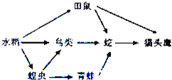 下面是某校八年级探究性学习小组同学在一次野外活动中,观察某农田生态系统后绘制的食物网示意图,请认真分析下图并回答下列有关问题:该小组的全体同学一臻认为,图 魔方格