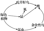 资料分析:阅读下面短文,回答下列相关问题.森林里生活着高大的乔木、低矮的灌木、草本植物.有许多鸟类在此栖息,有的鸟吃草籽,有的鸟是杂食性鸟. 魔方格