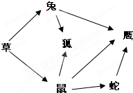 如图为草原生态系统,请据图回答问题:图中的“→”表明了生物与生物之间的捕食关系.在食物链的书写中,箭头一定要指向______者.该生态系统中有___ 魔方格