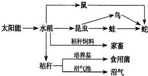 如图为我省某农田生态系统的示意图,请据图回答有关问题:该生态系统中能量的源头是______.能量流动的特点是______.在该生态系统中,占有能量最 魔方格