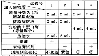 已知淀粉酶可以水解淀粉为麦芽糖,蛋白酶可以水解蛋白质为多肽。为了研究酶之间的相互影响,某同学设计了如下实验(实验中所涉及酶的化学本质都是蛋白质),请 已知淀粉酶可以水解淀粉为麦芽糖,蛋白酶可以水解蛋白质为多肽。为了研究酶之间的相互影响,某同学设计了如下实验(实验中所涉及酶的化学本质都是蛋白质),请