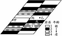 左下图为某地水平地质剖面图。某日发生地震(丙地的地表为震中),根据甲、乙两地观测站的地震波记录,绘出了地震横波与纵波的走时曲线图(右下图),据此回答下列各题。小 左下图为某地水平地质剖面图。某日发生地震(丙地的地表为震中),根据甲、乙两地观测站的地震波记录,绘出了地震横波与纵波的走时曲线图(右下图),据此回答下列各题。小