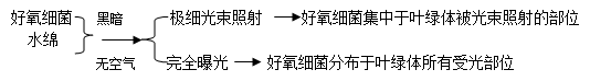 色素位于叶绿体中的哪个部位? 色素位于叶绿体中的哪个部位?