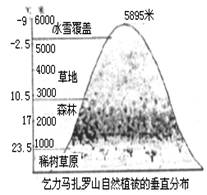 结合下图说出影响乞力马扎罗山植被垂直分布的主要原因:A.纬度位置高B.海陆位置C.地形地势D.人类活动 结合下图说出影响乞力马扎罗山植被垂直分布的主要原因:A.纬度位置高B.海陆位置C.地形地势D.人类活动