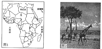 读下面地图和材料,回答问题。材料:2011年3月19日,美军开始实施“奥德赛黎明”行动,位于地中海的 读下面地图和材料,回答问题。材料:2011年3月19日,美军开始实施“奥德赛黎明”行动,位于地中海的