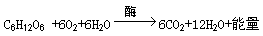 下图一表示绿色植物叶肉细胞内发生的光合作用和有氧呼吸的过程,其中a、b为光合作用的原料,①一⑤表示相关过程。图二、图三表示外界相关条件对植物光合作用 下图一表示绿色植物叶肉细胞内发生的光合作用和有氧呼吸的过程,其中a、b为光合作用的原料,①一⑤表示相关过程。图二、图三表示外界相关条件对植物光合作用