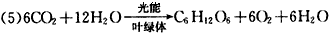 下图是光合作用过程的图解,请据图回答:(1)绿色植物进行光合作用的细胞器是____________,参与光合作用的色素分布在该细 下图是光合作用过程的图解,请据图回答:(1)绿色植物进行光合作用的细胞器是____________,参与光合作用的色素分布在该细