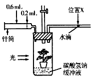 下面甲、乙两图分别表示光照强度和空气中二氧化碳含量对某绿色植物光合作用的影响,S1、S2、S3的面积大小表示有关生理过程产生或消耗物质的数量。请据图 下面甲、乙两图分别表示光照强度和空气中二氧化碳含量对某绿色植物光合作用的影响,S1、S2、S3的面积大小表示有关生理过程产生或消耗物质的数量。请据图