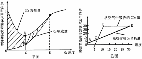 下图所示,甲图是酵母菌的呼吸作用图,乙图为某高等植物的光合、呼吸作用图。请据图回答下列问题。(1)甲图中阴影部分表示______ 下图所示,甲图是酵母菌的呼吸作用图,乙图为某高等植物的光合、呼吸作用图。请据图回答下列问题。(1)甲图中阴影部分表示______