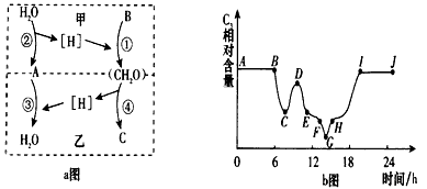 下图中a图表示高等植物细胞的两个重要生理过程中C、H、O的变化,b图表示一株小麦叶片细胞内C3相对含量在一天24小时内的变化过程。请据图回答: 下图中a图表示高等植物细胞的两个重要生理过程中C、H、O的变化,b图表示一株小麦叶片细胞内C3相对含量在一天24小时内的变化过程。请据图回答:
