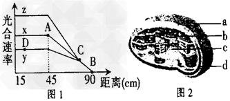 某小组用黑藻进行光合作用的实验,他们将黑藻浸在加有适宜培养液的大试管中(室温20℃),可观察到光下放出气泡。他们以灯作为光源,移动灯使之与大试管的距 某小组用黑藻进行光合作用的实验,他们将黑藻浸在加有适宜培养液的大试管中(室温20℃),可观察到光下放出气泡。他们以灯作为光源,移动灯使之与大试管的距