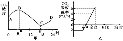 某生物研究性学习小组在农村进行调查研究。以下是他们的研究成果。图甲表示春季晴天某密闭大棚内一昼夜CO2浓度的变化,图乙为棚内植物吸收CO2的速率,假 某生物研究性学习小组在农村进行调查研究。以下是他们的研究成果。图甲表示春季晴天某密闭大棚内一昼夜CO2浓度的变化,图乙为棚内植物吸收CO2的速率,假