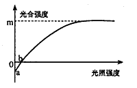 己知某植物光合作用和呼吸作用的最适温度分别为25℃和30℃。下图表示30℃时该植物光合作用强度与光照强度关系。若温度降到25℃(原光照强度和二氧化碳 己知某植物光合作用和呼吸作用的最适温度分别为25℃和30℃。下图表示30℃时该植物光合作用强度与光照强度关系。若温度降到25℃(原光照强度和二氧化碳