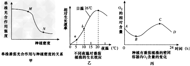 某研究小组用番茄进行光合作用和呼吸作用的实验,结合所给的材料,回答相关问题: (1)实验一(甲图):与M点相比,N点限制单株光合 某研究小组用番茄进行光合作用和呼吸作用的实验,结合所给的材料,回答相关问题: (1)实验一(甲图):与M点相比,N点限制单株光合
