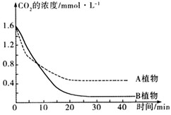 将叶面积相等的A、B两种植物的叶片分别放置在相同的、温度适宜且恒定的密闭小室中,给予充足的光照,利用红外测量仪每隔5min测定一次小室中的CO2浓度 将叶面积相等的A、B两种植物的叶片分别放置在相同的、温度适宜且恒定的密闭小室中,给予充足的光照,利用红外测量仪每隔5min测定一次小室中的CO2浓度