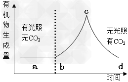 科学工作者从植物细胞中提取叶绿体,放入含有ADP、磷酸盐以及氢的载体等物质的溶液中,按图示控制条件进行光合作用的有关实验并不断测定有机物的合成量,用 科学工作者从植物细胞中提取叶绿体,放入含有ADP、磷酸盐以及氢的载体等物质的溶液中,按图示控制条件进行光合作用的有关实验并不断测定有机物的合成量,用