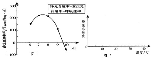 东海原甲藻(简称甲藻)是我国东海引发赤潮的藻种之一,研究甲藻光合作用的生理特性可为认识赤潮发生机理提供重要信息。(一)某研究小组 东海原甲藻(简称甲藻)是我国东海引发赤潮的藻种之一,研究甲藻光合作用的生理特性可为认识赤潮发生机理提供重要信息。(一)某研究小组