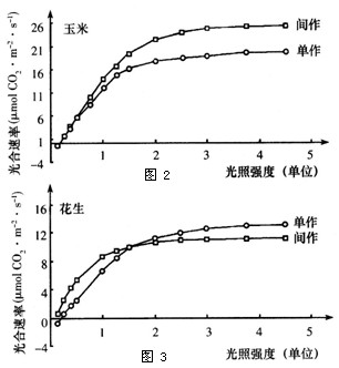 某科研小组的科研人员利用不同的植物分别做了有关光合作用的两组实验,请结合实验过程和结果分析回答问题:实验一:选用两批相同的番茄幼苗,在最适温度下分别 某科研小组的科研人员利用不同的植物分别做了有关光合作用的两组实验,请结合实验过程和结果分析回答问题:实验一:选用两批相同的番茄幼苗,在最适温度下分别