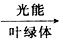 某学生兴趣小组用伊乐藻进行光合作用的实验,他们将一支伊乐藻浸在加有适宜培养液的大试管中(室温20℃),可观察到光下枝条放出气泡。他们以太阳灯作为光源 某学生兴趣小组用伊乐藻进行光合作用的实验,他们将一支伊乐藻浸在加有适宜培养液的大试管中(室温20℃),可观察到光下枝条放出气泡。他们以太阳灯作为光源
