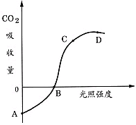如下图所示,原来置于黑暗环境中的绿色植物移到光下后,CO2的吸收量发生了改变。据图判断下列叙述中正确的是①曲线AB段表示绿色植物没有进行光合作用 ② 如下图所示,原来置于黑暗环境中的绿色植物移到光下后,CO2的吸收量发生了改变。据图判断下列叙述中正确的是①曲线AB段表示绿色植物没有进行光合作用 ②