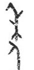 下图是甲骨文的“年”字,该字由两部分组合而成,上部为“禾”。卜辞中常见“有年”、“大有年”的记载。据此,“有年”的意思应是A.人寿年丰B.祈盼丰收C.庄稼收获D 下图是甲骨文的“年”字,该字由两部分组合而成,上部为“禾”。卜辞中常见“有年”、“大有年”的记载。据此,“有年”的意思应是A.人寿年丰B.祈盼丰收C.庄稼收获D