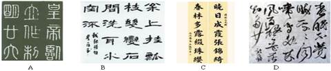 汉字是由笔画构成的方块状字,经历了约7000年的发展,至今仍充满活力。其中小篆是 汉字是由笔画构成的方块状字,经历了约7000年的发展,至今仍充满活力。其中小篆是