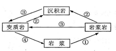 下图中表示变质作用的是A.①B.②C.③D.④ 下图中表示变质作用的是A.①B.②C.③D.④