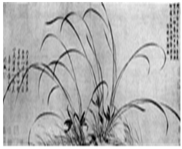 图是南宋赵孟坚的《墨兰图》。画中自题诗曰:“六月衡湘暑气蒸,幽香一喷冰人清。曾将移入浙西种,一岁才发一两茎。”诗中流露了“六月衡湘暑气蒸,幽香一喷冰人清。曾将移 图是南宋赵孟坚的《墨兰图》。画中自题诗曰:“六月衡湘暑气蒸,幽香一喷冰人清。曾将移入浙西种,一岁才发一两茎。”诗中流露了“六月衡湘暑气蒸,幽香一喷冰人清。曾将移