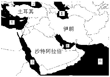 认真读中东地图,填上相应的数字号。海峡:土耳其海峡_______,霍尔木兹海峡_______。“五海”及海湾:里海_______,黑海_______,红 认真读中东地图,填上相应的数字号。海峡:土耳其海峡_______,霍尔木兹海峡_______。“五海”及海湾:里海_______,黑海_______,红