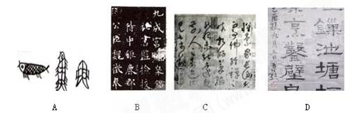 下列字体开始于东汉的是 下列字体开始于东汉的是