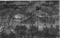 文人画是中国古代绘画艺术的杰出代表,它集文学、书法、绘画及篆刻艺术为一体,强调表现个性,讲究借物抒情,追求神韵意趣,下列绘画作品中反映这一风格的是[ 文人画是中国古代绘画艺术的杰出代表,它集文学、书法、绘画及篆刻艺术为一体,强调表现个性,讲究借物抒情,追求神韵意趣,下列绘画作品中反映这一风格的是[