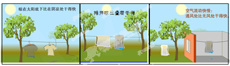 如图所示是生活中常见的一些现象,请你仔细观察,猜想出影响液体蒸发快慢的因素有哪些?______;______;______.