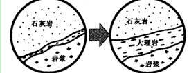 读右图,分析回答12—13题。小题1:下列说法正确的是①石灰岩是岩浆岩,大理岩是沉积岩②石灰岩是在浅海环境中由化学沉淀物或生物遗体堆积而成的③大理岩是由石灰 读右图,分析回答12—13题。小题1:下列说法正确的是①石灰岩是岩浆岩,大理岩是沉积岩②石灰岩是在浅海环境中由化学沉淀物或生物遗体堆积而成的③大理岩是由石灰