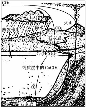 读自然界的两种物质循环图,回答下列问题。(1)有人说火山喷发能加剧地球升温,有人说火山喷发会使地球降温。你同意哪一种观点?并简述理由。(2)图中①②各表示哪种地 读自然界的两种物质循环图,回答下列问题。(1)有人说火山喷发能加剧地球升温,有人说火山喷发会使地球降温。你同意哪一种观点?并简述理由。(2)图中①②各表示哪种地