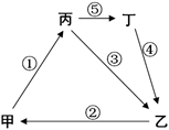 下图表示地理环境的物质循环示意图,下列叙述正确的是A.丁类岩石中不可能发现化石B.花岗岩和玄武岩属于乙类岩石C.丙类岩石的形成与生物活动 下图表示地理环境的物质循环示意图,下列叙述正确的是A.丁类岩石中不可能发现化石B.花岗岩和玄武岩属于乙类岩石C.丙类岩石的形成与生物活动