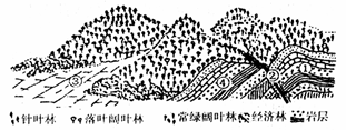 读我国某地景观示意图,回答 :小题1:下列对图示地区的叙述正确的是A.①处为向斜槽部,受挤压不易被侵蚀B.②处为背斜顶部,受外力侵蚀成谷地C.③处为冲积扇,利于 读我国某地景观示意图,回答 :小题1:下列对图示地区的叙述正确的是A.①处为向斜槽部,受挤压不易被侵蚀B.②处为背斜顶部,受外力侵蚀成谷地C.③处为冲积扇,利于