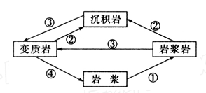 图中表示变质作用的是A.①B.②C.③D.④ 图中表示变质作用的是A.①B.②C.③D.④
