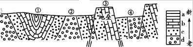 读某地区地质构造剖面示意图,回答问题。图中①、②、③、④四处,在地质构造上属于背斜的是_______。在野外考察中,有时会 读某地区地质构造剖面示意图,回答问题。图中①、②、③、④四处,在地质构造上属于背斜的是_______。在野外考察中,有时会