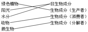绿色植物非生物成分阳光生物成分水分生物成分动物生物成分微生物. 魔方格