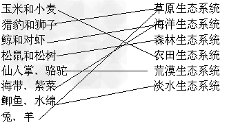 将下列生物与其最适于生活的生态系统相连。玉米和小麦草原生态系统猎豹和狮子海洋生态系统鲸和对虾森林 将下列生物与其最适于生活的生态系统相连。玉米和小麦草原生态系统猎豹和狮子海洋生态系统鲸和对虾森林