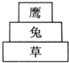 在某个草原生态系统中,能正确表示草、兔、鹰三种生物数量大小的图示是A.B.C.D. 魔方格