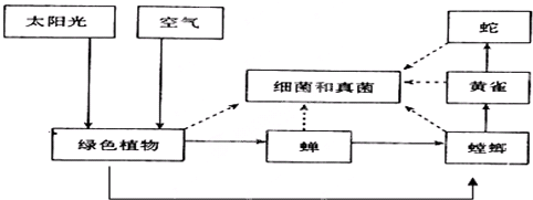 如图是某生态系统的示意图,请据图回答:右图所示的生态系统中,获得能量最多的一条食物链是______.图中太阳光、空气属于生态系统的______部分. 魔方格