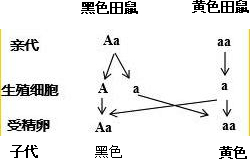 某生物研究性学习小组,在对沂山某地域内的动、植物种类进行调查后,绘制了如下食物关系图.请据图回答:若要构成一个生态系统,还需增加的成分有_________