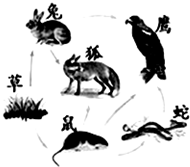 如图是草原生态系的食物网,请据图回答.一个完整的草原生态系统,除了图中所示的各种生物外,还应包括______.此生态系统中的生产者是______,它 魔方格